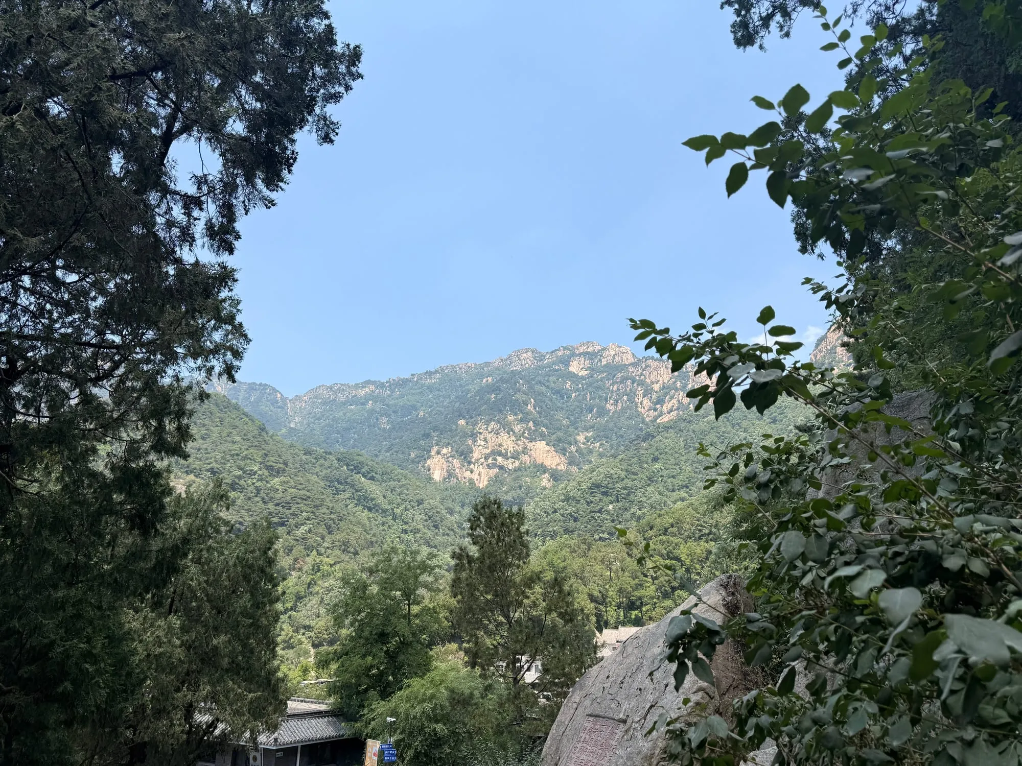 远处的青山