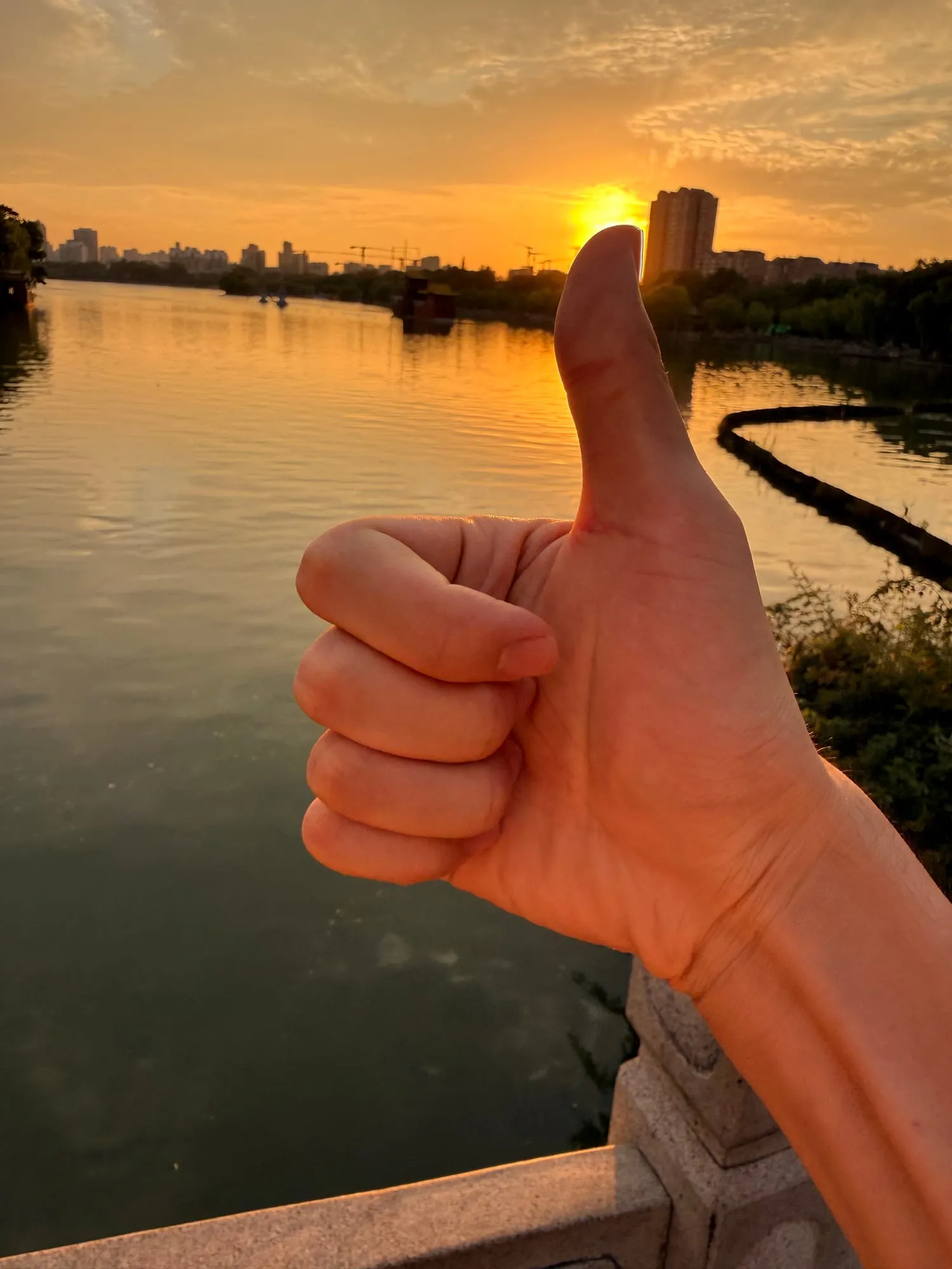 湖边的金色傍晚，先比个赞